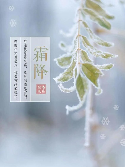 浩鑫精密提醒大家霜降到了